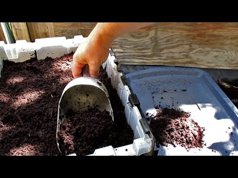 Harvesting Worm Castings | Highly Effective Method For Separating Out The Worms!
