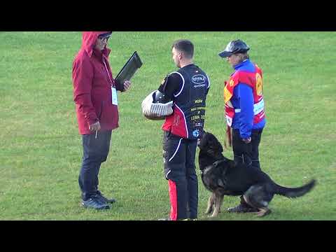 WUSV 2021 UKR 1-  IRYNA HALYNKINA & ADELE CANISINVICTUS C 93