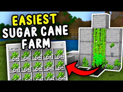 EASIEST SUGAR CANE Farm Minecraft Bedrock 1.21+!