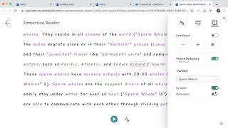 Translate with Immersive Reader