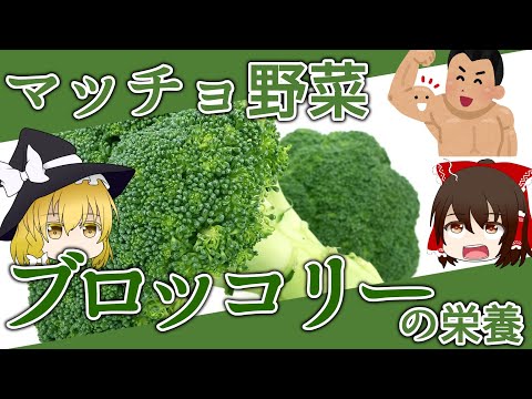 ブロッコリーキャベツが咲いた理由