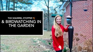 How To Keep Squirrels Off Your Bird Feeder, Prevent Bird Strikes & Be Healthier & Happier