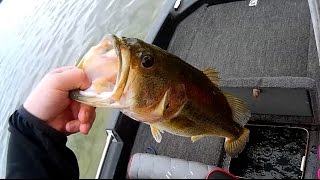 Bass Tournament #2! We Won! + Won Big Bass! Ft. Roger Eastman