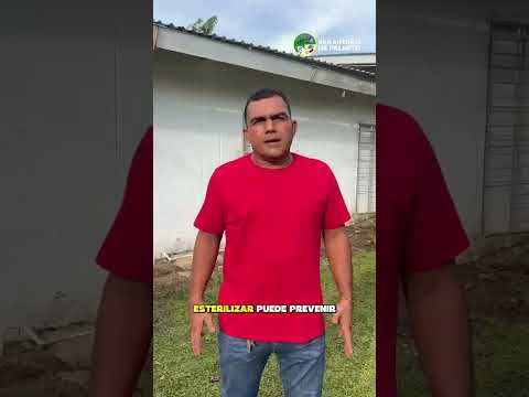 TENENCIA RESPONSABLE DE ANIMALES DE COMPAÑIA