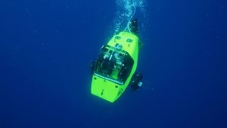 Submersible Finds Sharks in a Kill Zone