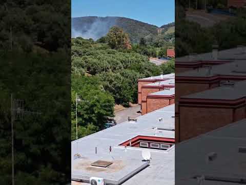 Incendio agli orti dei Ghiaccioni, Piombino