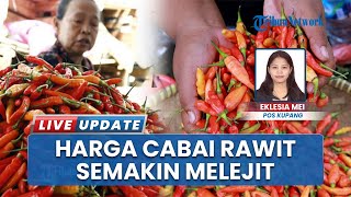Harga Cabai Melonjak di Pasar Nataga Sabu Raijua Tembus Rp 120 Ribu, Pemasok dari Tani Berkurang