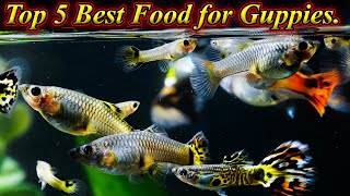 Top 5 Best Food For Guppy Fish For Best Color And Growth... / Fish Aquarium Tamil