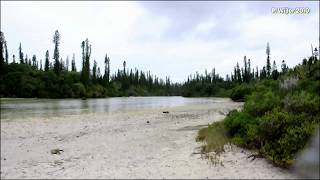 Île des Pins, New Caledonia 2010