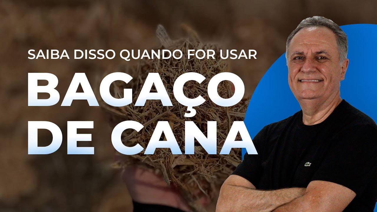 Quanto colocar de bagaço de cana na ração de bovinos