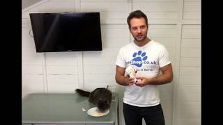Gourmet Soup for Cats Review - Jasper (the kitten) loves them :)