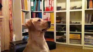 Brady e Vicky Robert Gordon Summertime Blues