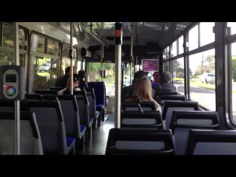 Forest Coachlines m/o 9227 - Mercedes-Benz O405 (ZF)