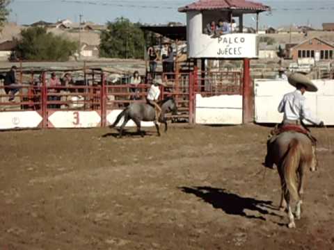 Jineteo de yegua #1 (16 Oct. 2011)