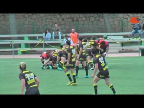 HIGHLIGHT TATAMI - RCLH