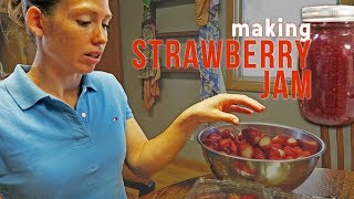 How To Preserve Strawberries
