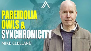The Mind-Bending Mystery of Pareidolia and Owls