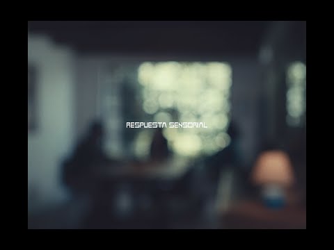 Porter - Respuesta Sensorial