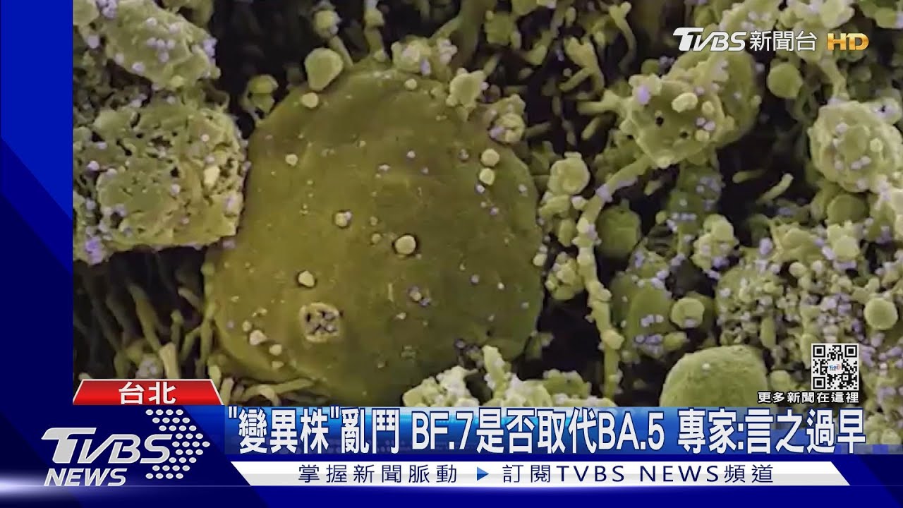 「變異株」亂鬥!BF.7是否取代BA.5 專家:言之過早