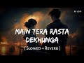 Main Tera Rasta Dekhunga (Slowed + Reverb) | Vishal Mishra, Shreya Ghoshal | Dunki | SR Lofi