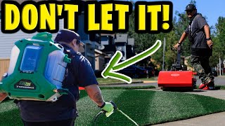 how to keep your grass from dying in the heat! FLOWZONE TYPHOON 3!