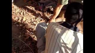 preview picture of video 'Gache Gache EPS rescues an antelope from a poachers trap'