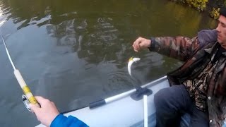 Рыбалка на самарке в самаре форум рвссо