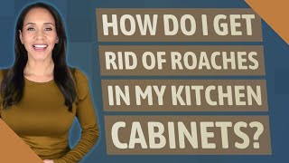 How do I get rid of roaches in my kitchen cabinets?
