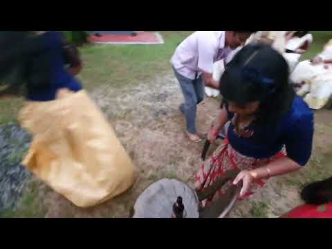 Onam 2019