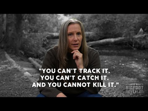 A Flash of Beauty: Sonya Zohar