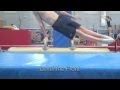 Men's Gymnastics - Perfect Handle/Pommel Circles
