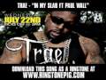 Trae - "In My Slab Ft Paul Wall" [ New Video + Lyrics + Download ]