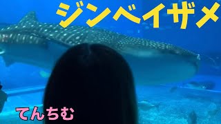 【沖縄】美ら海水族館に行ってみた