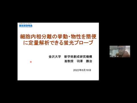 IUCN分類における絶滅の危険性を示す図。