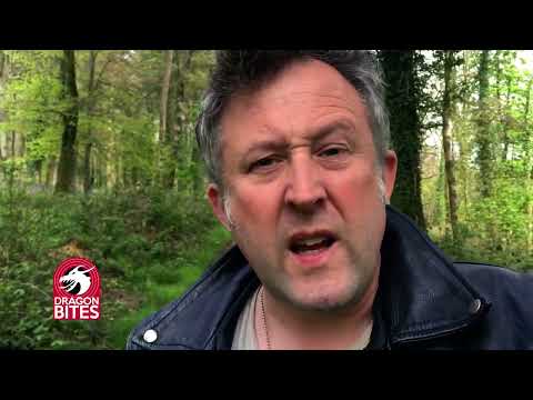 The Dragon Detective - Dragon Bite #12 Don't believe in dragons?