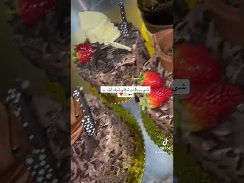 كيك بعمل نستله بلجيكي كوالتي عالي 🍰😋