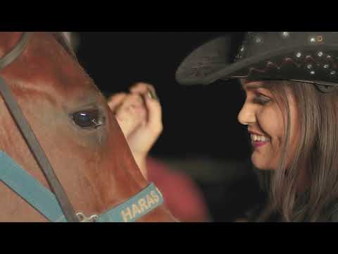 INDECISÃO   SANDRO LIVRE - Clipe Oficial