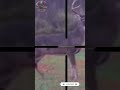 308 Hits Hard Deer Hunting Scope Cam
