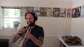 The Girl I Can&#39;t Forget by Fountains of Wayne (Trumpet Cover)