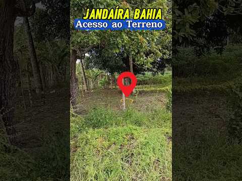 Terreno 128m² para Torre de Celular / ERB em Jandaíra-BA (1km do centro e a 9Km da BR-101)