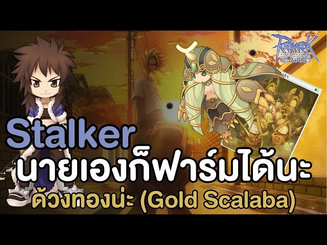 [Guide] Double Strafe Stalker นายเองก็ฟาร์มได้นะด้วงทองน่ะ | วิดีโอครี ...