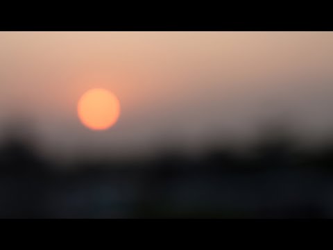 EDEN by Marcia Ramalho