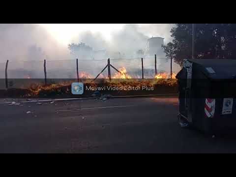 INCENDIO PARCO DI CENTOCELLE TORRE SPACCATA ROMA 09/07/2022