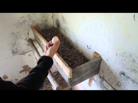 "Jazzkukko" Festivaali Laitilassa 6.-9.8.2015