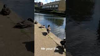 Unawaken people can only give you war #forgiveness #healing #detachment #freedom #peace #love #truth