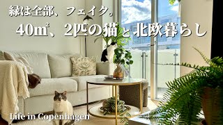 北欧暮らし🇩🇰植物は全てフェイク。造花の中にお花だけは生花を飾って、身の丈に合った北欧インテリア|狭小アパートで暮らす猫2匹と子なし夫婦|Life in Copenhagen