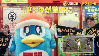 ～🐸荒野がドンキに、ドンキが荒野に🐧～