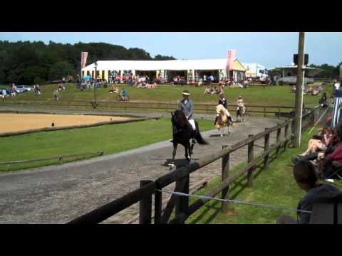 DJIM 2011 Kronshof - Mittwoch - www.isibless.de