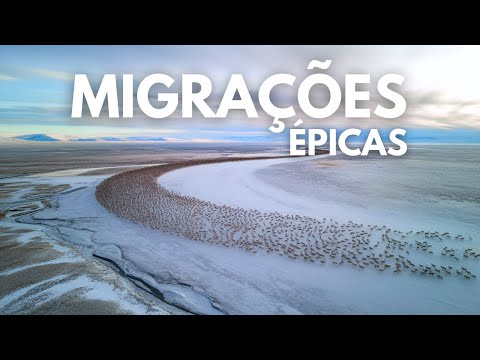 Epic Migrations - Wildlife Challenges and Achievements