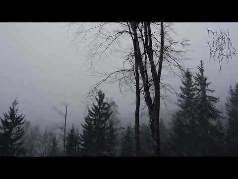 Tanvald - Zrod (Full EP)